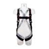 Protecta Fall Arrest Safety Harness with Back and shoulder D Rings