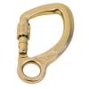 Steel Captive Eye Screwgate Karabiner